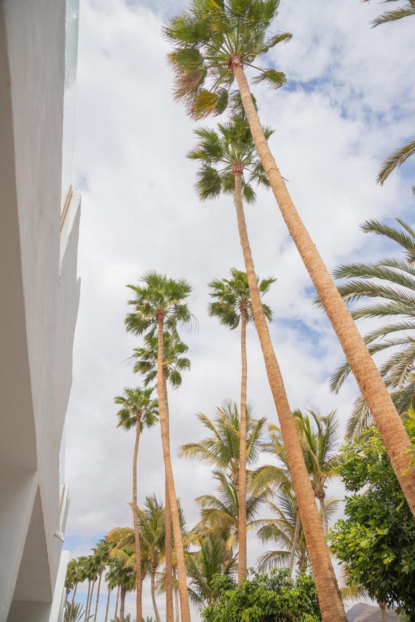 Palm Beach Fuerteventura Tarajalejo Kültér fotó