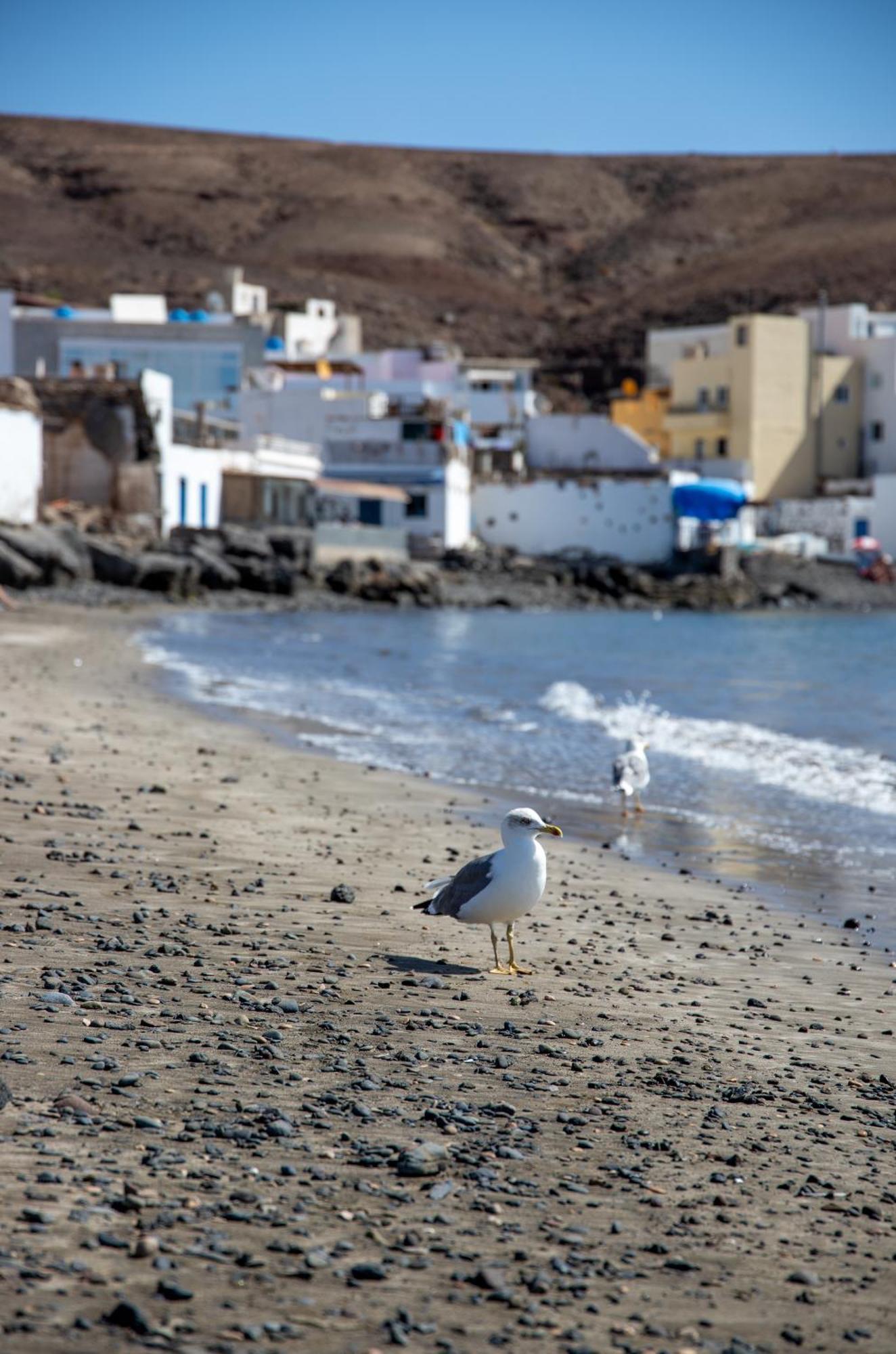 Palm Beach Fuerteventura Tarajalejo Kültér fotó